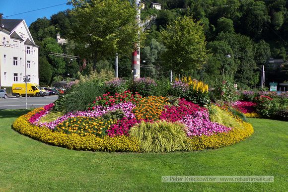 Salzburg Rehrlplatz Blumeninsel 1. Juli  2016 10