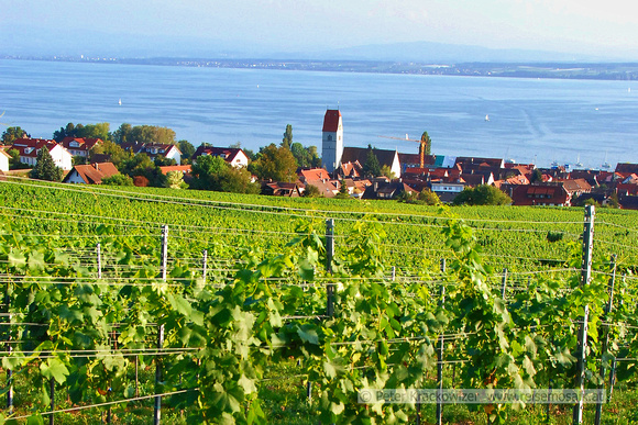 Bodensee_2009_616