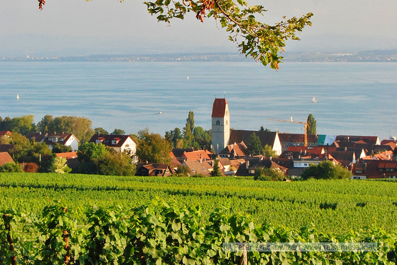 Bodensee_2009_629