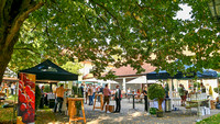 Der ÖAAB-Neumarkt und der Wirtschaftsbund Neumarkt hatten am 11. September 2021 zur Weinverkostung bei der Taverne von Schloss Sighartstein eingeladen.