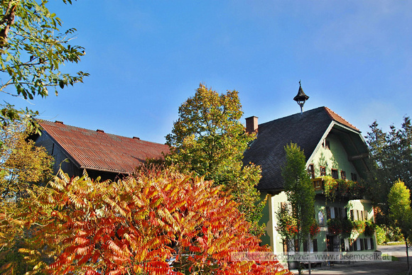 Herbst in Pfongau