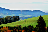 Herbst in Pfongau