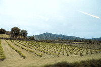 Baskenland im Rioja Alavesa