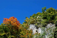 Herbst in der Stadt Salzburg
