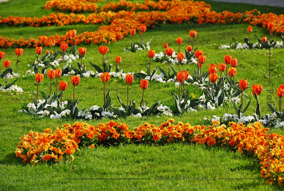 Frühling im Mirabellgarten