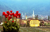 Südtirol. Blick in Kaltern Richtungs Ortsteil Mitterdorf, Mai 1980