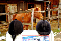 Adventmarkt auf Gerda's Pferdehof