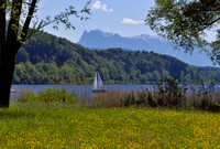 Wallersee erster Sommertag im Mai 2016