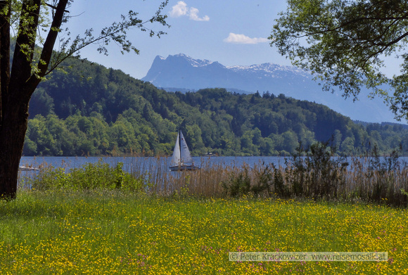 Wallersee erster Sommertag im Mai 2016