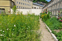 2023_06_16_Franziskanerkloster_Salzburg_Garten_2