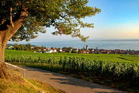 Bodensee_2009_622