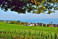 Bodensee_2009_619
