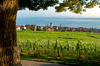 Bodensee_2009_626