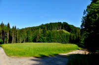 Steinbachtal Jägerwiese
