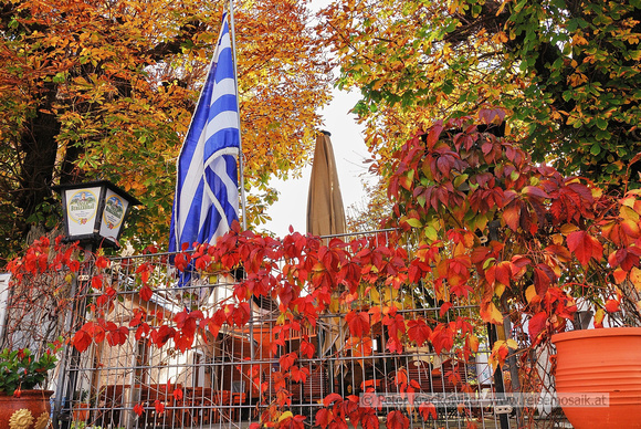 20. Oktober 2013 Einweihungsfest in Neumarkt am Wallersee von Niko dem Griechen