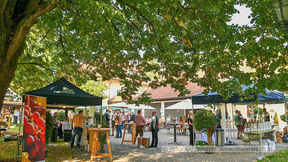 Der ÖAAB-Neumarkt und der Wirtschaftsbund Neumarkt hatten am 11. September 2021 zur Weinverkostung bei der Taverne von Schloss Sighartstein eingeladen.