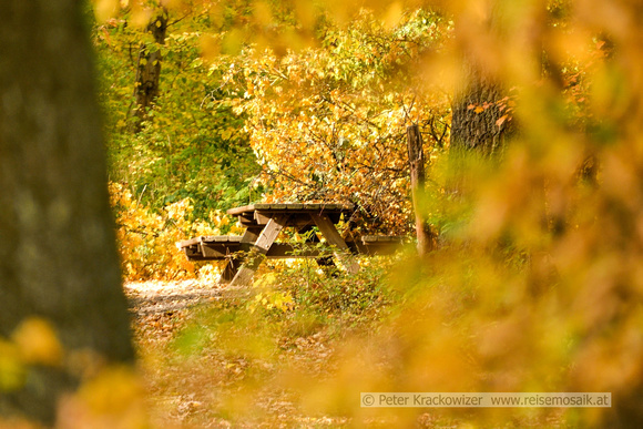Lainzer Tiergarten Wien im Herbst