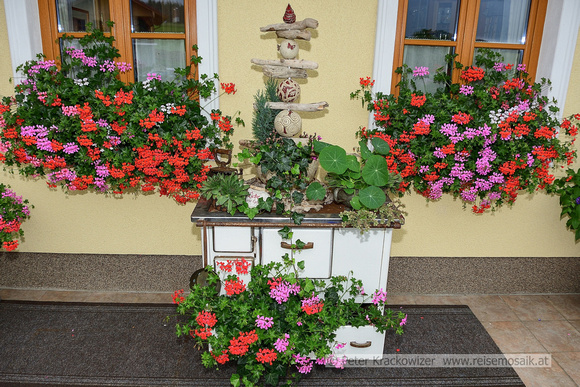 Sommerholz_017_Classic_2019