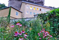 Gartentag Franziskanerkloster 2019