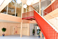 Der Stiegenaufgang im Eingangsbereich des neuen Hauses der Vereine.