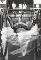 5.12.1970 Frachtverlad eines lebenden Wals in eine Swissair-Maschine Seattle - New York - Zürich - Nizza.
