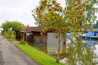 Wallersee Hochwasser 5. August 2020